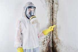 Best Mold Remediation for Healthcare Facilities  in Madison, AL